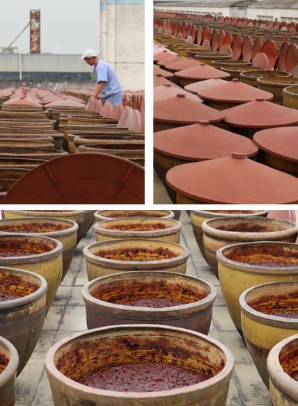 TG��������(�й���)�ٷ���վ