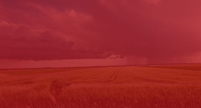 TG��������(�й���)�ٷ���վ