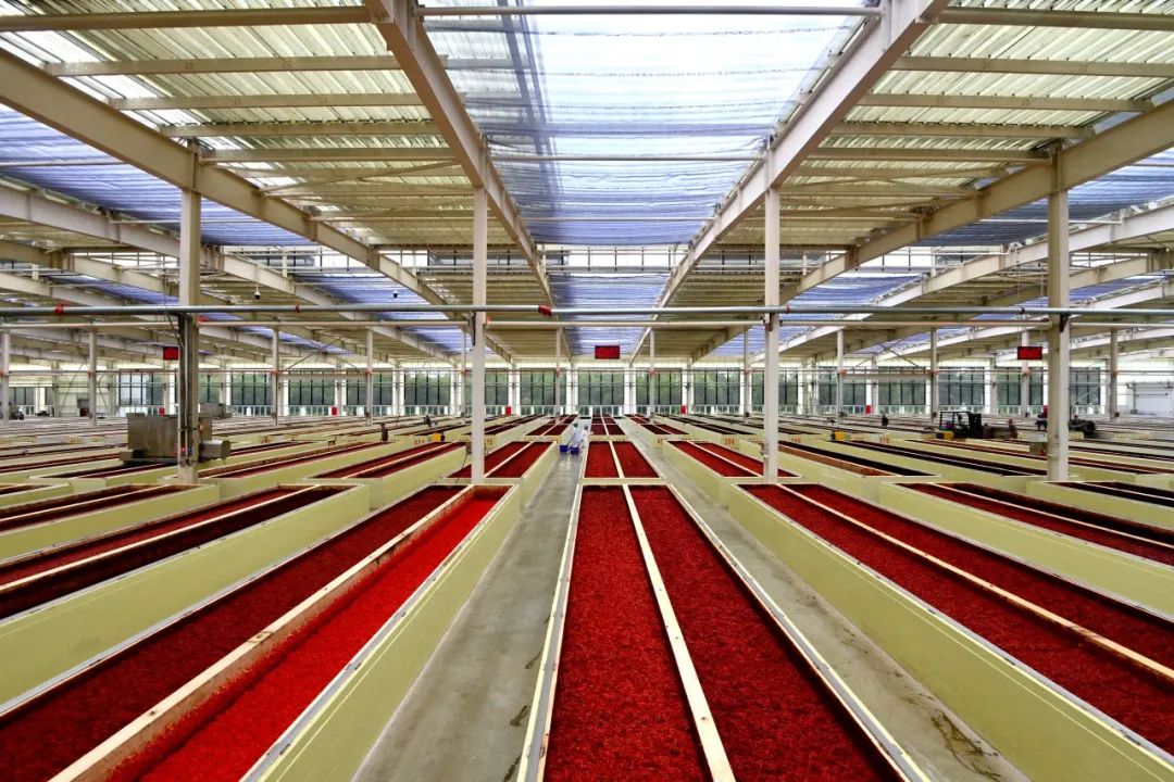 5145fdf970f7ff5180c6fbf99966fe74