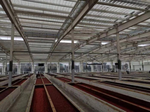 1583983607403734.png 1583983607403734.png