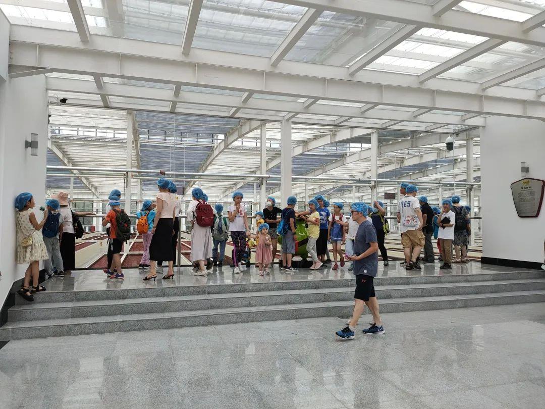 1649662951371983.jpg 1649662951371983.jpg