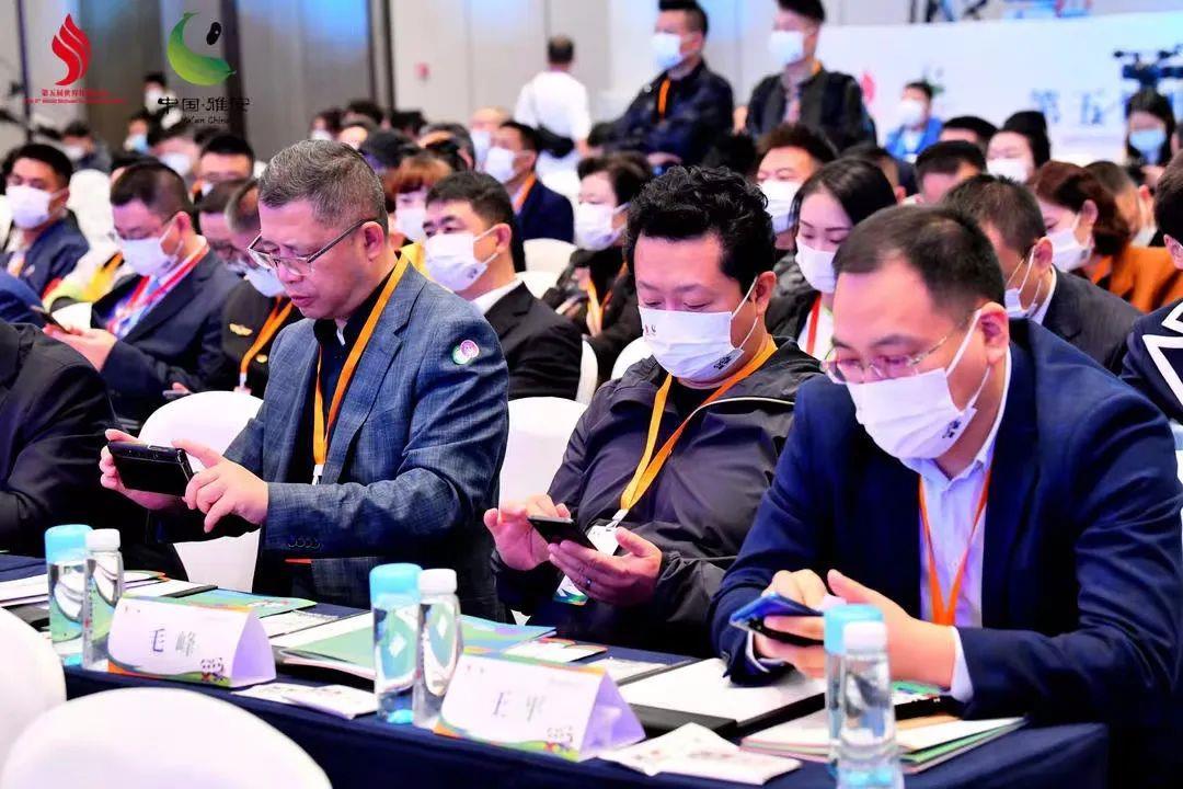 1668392493478798.jpg 2.jpg