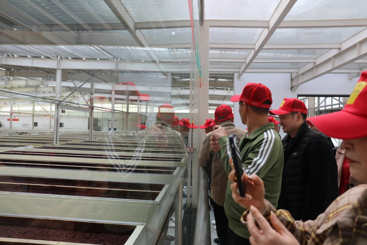 1679042319913676.png 图片10.png