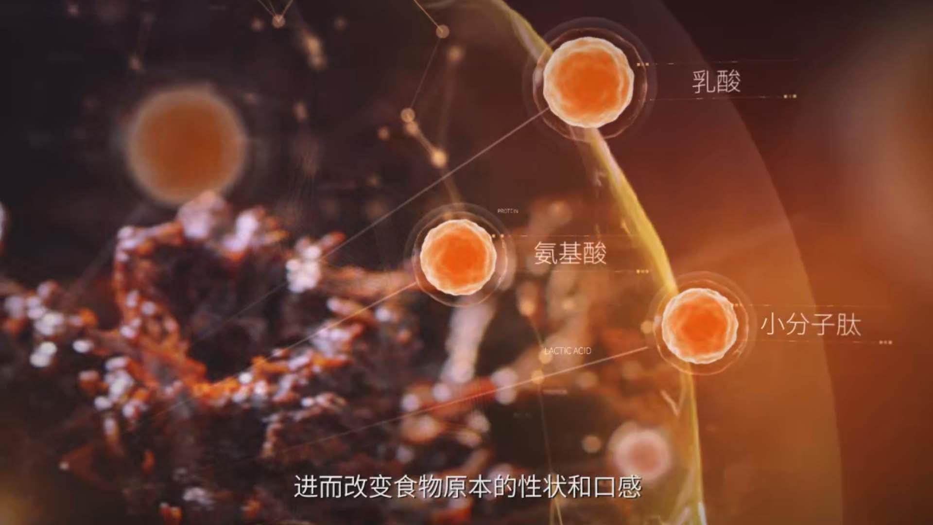 1711078910723947.jpg 1711078910723947.jpg